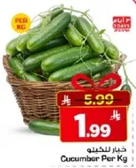 خيار للكيله