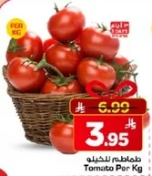طماطم للكيله