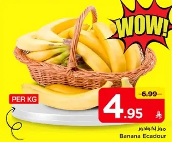 موز اكوادور لكل كجم