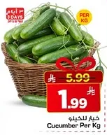 خيار للكيلو