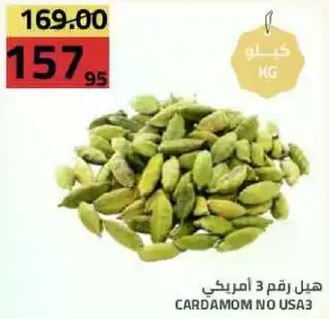 هيل رقم 3 امريكي