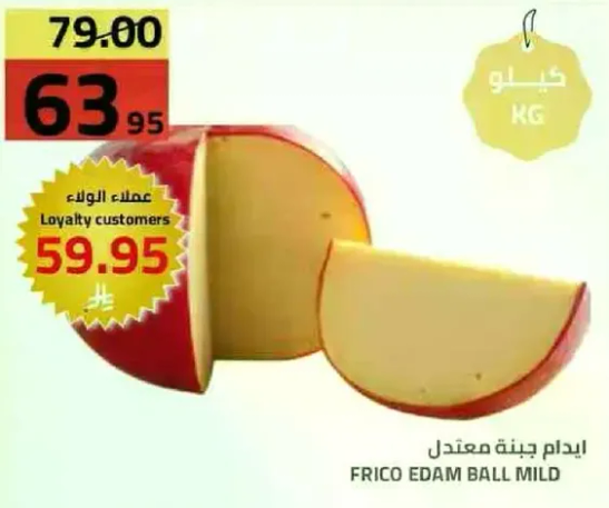 ايدام جبنه معتدل