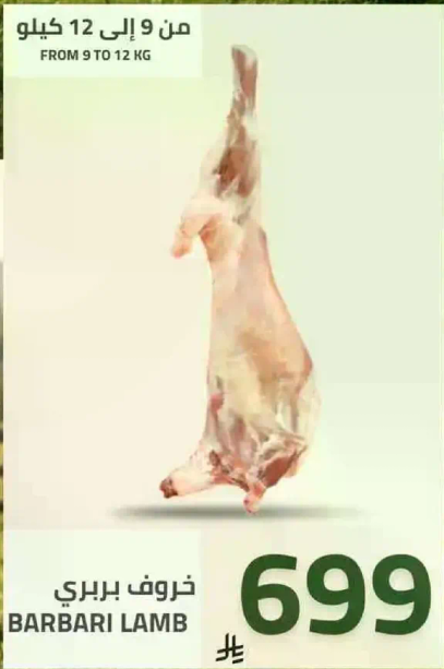 Barbari lamb, weight from 9 to 12 kg.