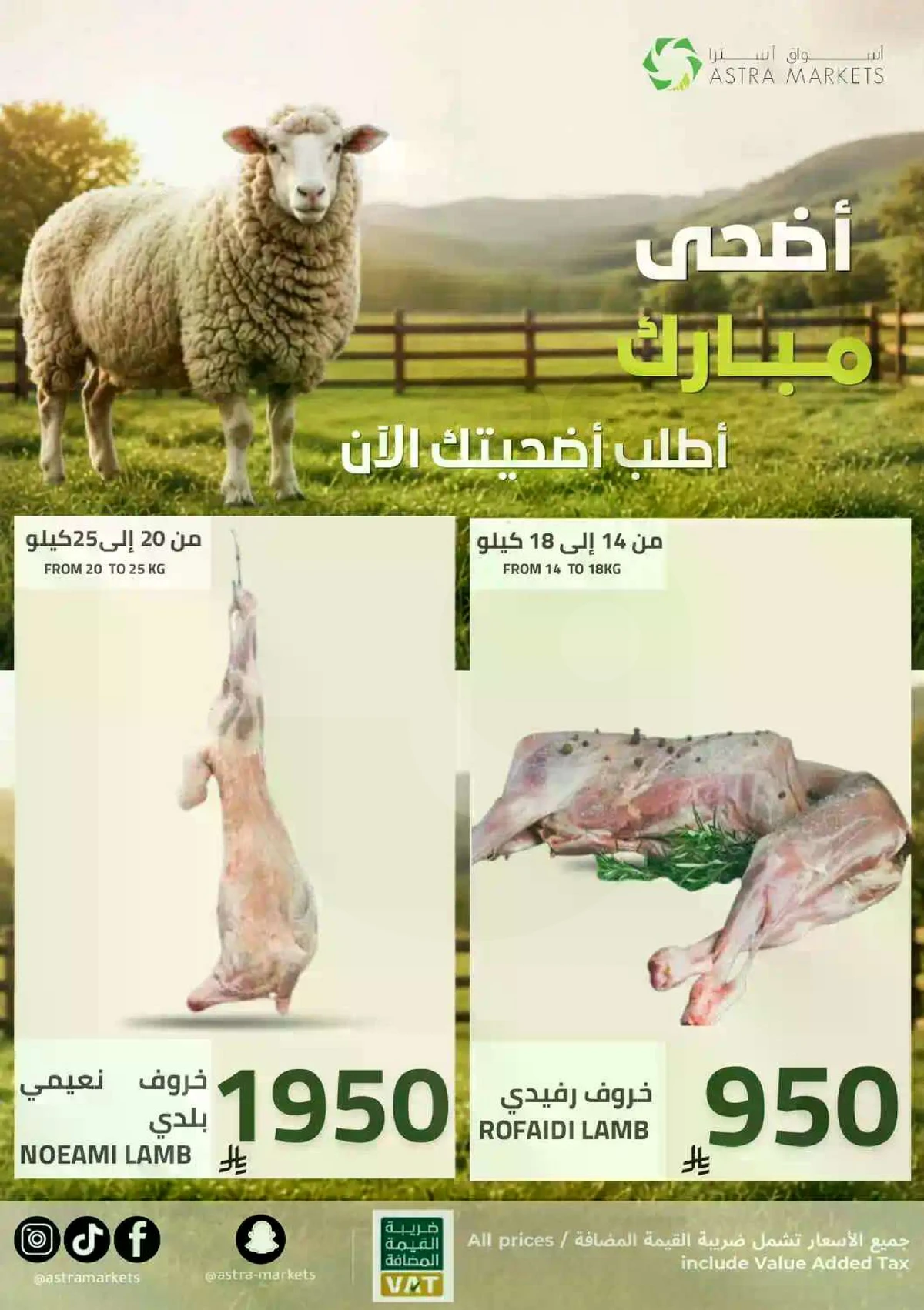 عروض العيد - صفحة 54