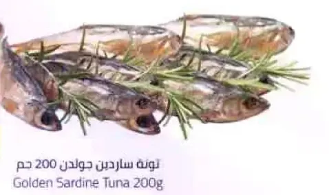 تون ساردين جولدن 200 جرام