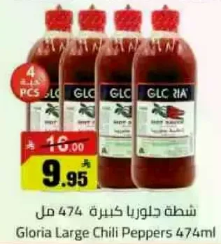 شطه جالوريا كبيره 474 مل