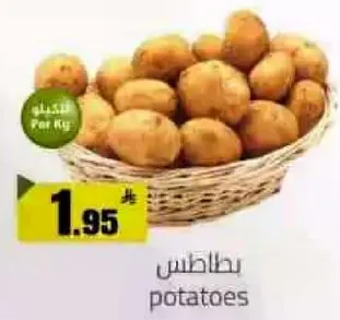 بطاطس