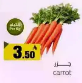 جزر