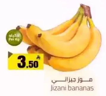 موز جيزاني