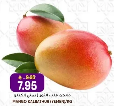 مانجو قلب الثور (يمني)/كيلو