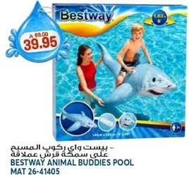 بيست واي سمكه قرش عملاقه.