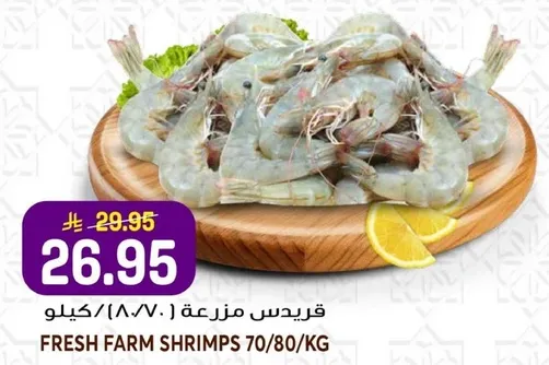قريدس مزرعه 70/80 كيلو
