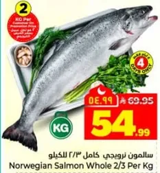سالمون نرويجي كامل 2/3 للكيلو