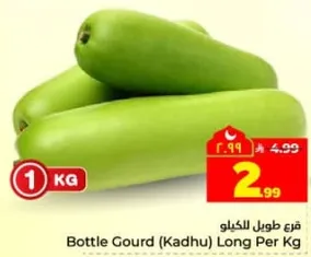 قرع طويل للكيلو