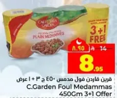 فرين قاردن فول مدمس 450 جرام