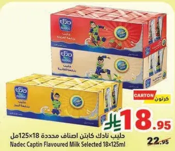 حليب نادك كابتن اصناف محدده 18×125مل