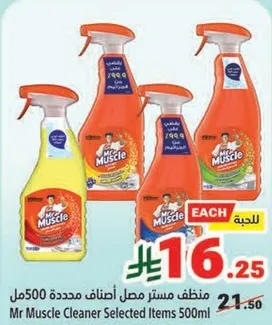 Mr Muscle Cleaner Selected Items 500ml