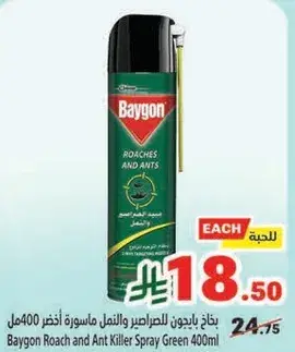 Baygon Roach and Ant Killer Spray Green 400ml