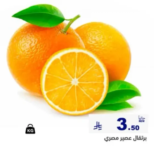 Egyptian oranges.