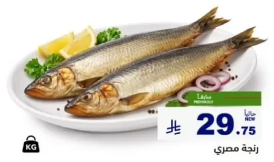 زنجيه مصري