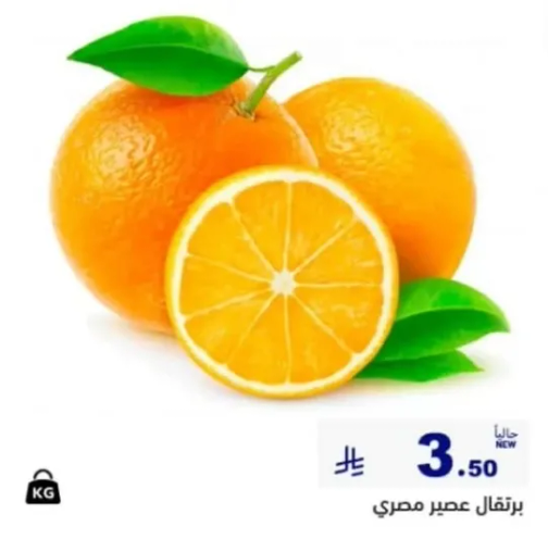 برتقال عصير مصري، يباع بالكيلو.