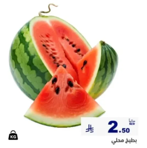 بطيخ محلي