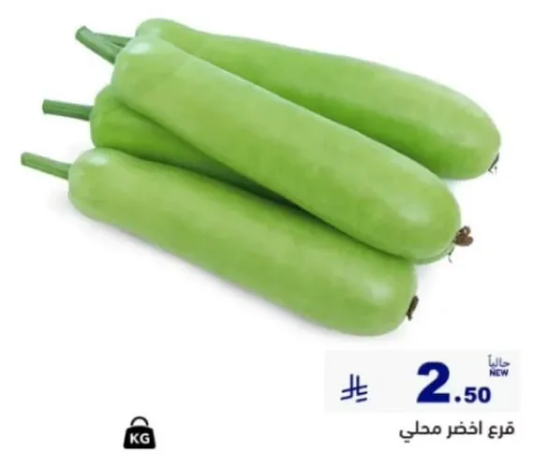 قرع اخضر محلي