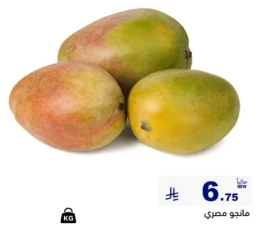 Egyptian mango