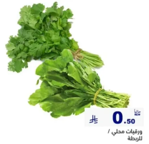 ورق نعناع محلي.