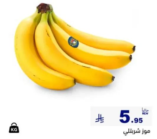 موز شيرتنلي