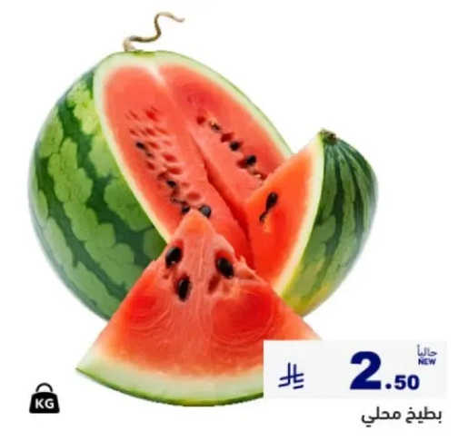 بطيخ محلي