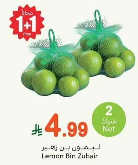 ليمون بن زهير