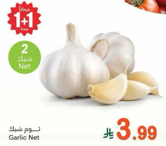 ثوم شباك