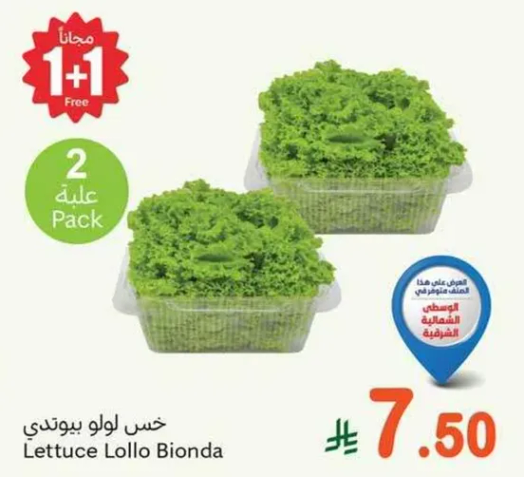 خس لولو بيوندي