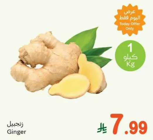 Ginger