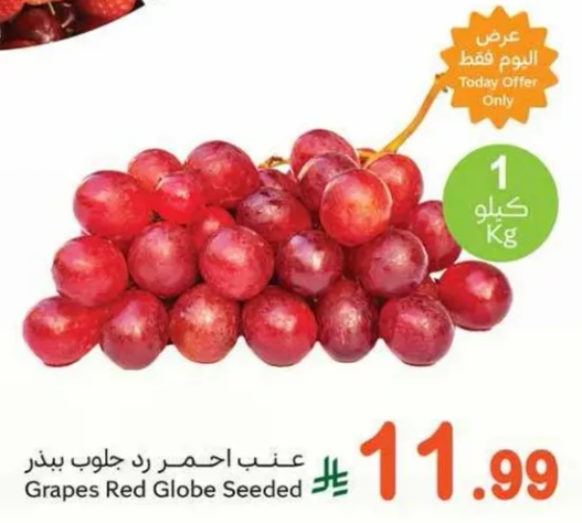 عنب احمر رد جلوب بذور