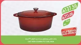 Cast iron cooking pot oval 34cm.