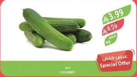 خيار 1 كيلو