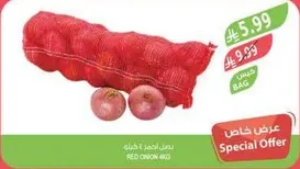 بصل احمر 600 جرام