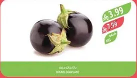 باذنجان دايري 1 كيلو