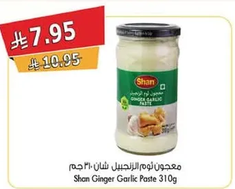 معجون ثوم الزنجبيل شان 310 جرام