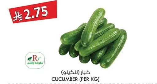 خيار (للكيلو)