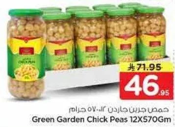 حمص جاردن الاخضر 12 عبوه 570 جرام