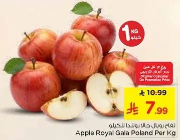 تفاح رويال جالا بولندا للكليو