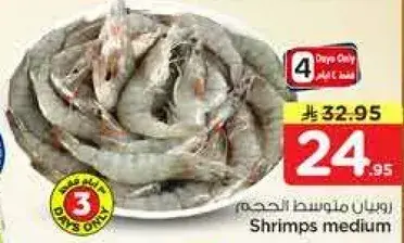 روبيان متوسط الحجم