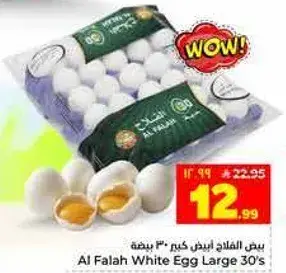 بيض الفلاح ابيض كبير 30 بيضه