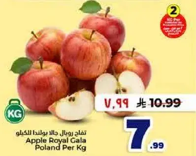تفاح رويال جالا بولندا للكغ