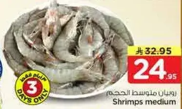 روبيان متوسط الحجم