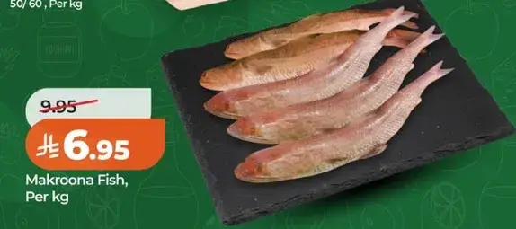 سمك ماكرونا ، لكل كيلو