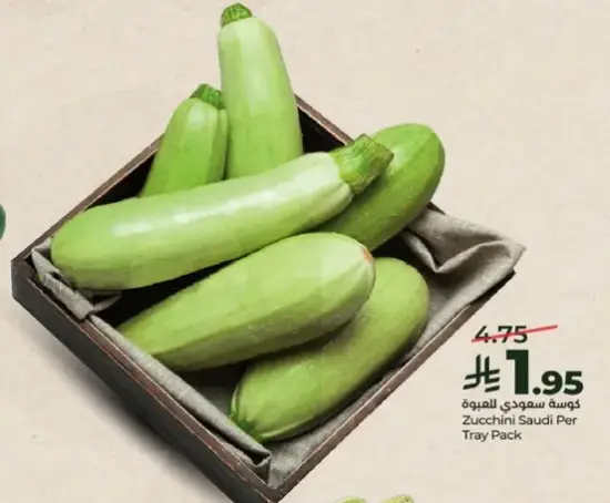 كوسه سعوديه للهول
